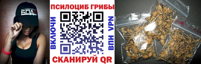 наркота  Октябрьск  Псилоцибиновые грибы Magic Shrooms 